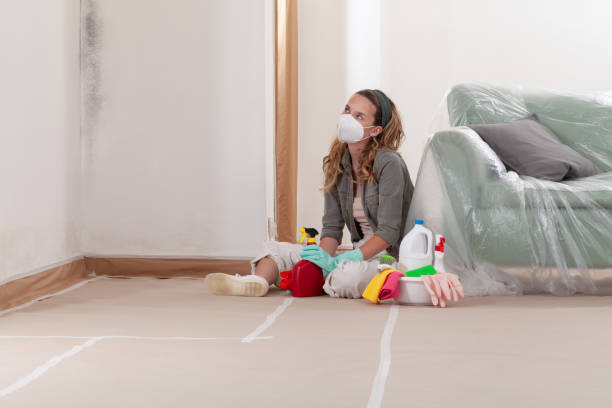 Reliable Crawl Space Mold Removal contractor in Washougal, WA by WQB Mold Removal